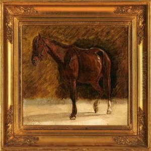 A Horse