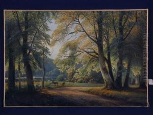 Waldlandschaft Waldlandschaft