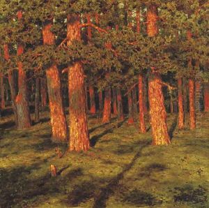 Pine forest