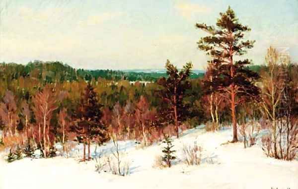 Winter - View over the Forest - view 1