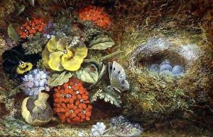 Flowers and Bird's Nest with Butterfly and Mushroom by Oliver Clare
