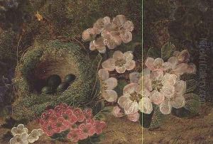 Primroses by a Bird's Nest by Oliver Clare