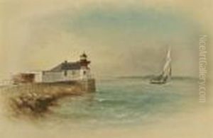 Bug Light