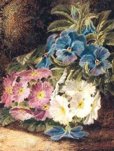 Pansies and Primulas, on a mossy Bank by Oliver Clare