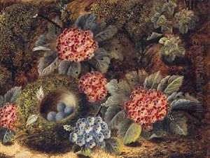 Primulas And A Bird'S Nest With Eggs, On A Mossy Bank