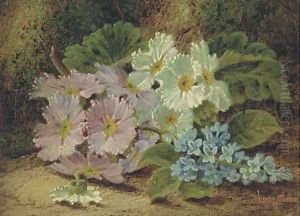 Summer flowers on a mossy bank