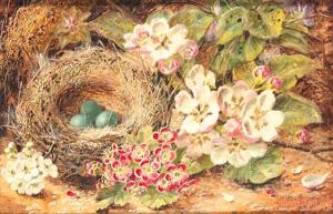 Apple Blossom, Primulas, a Bird's Nest with Eggs, on a mossy Bank