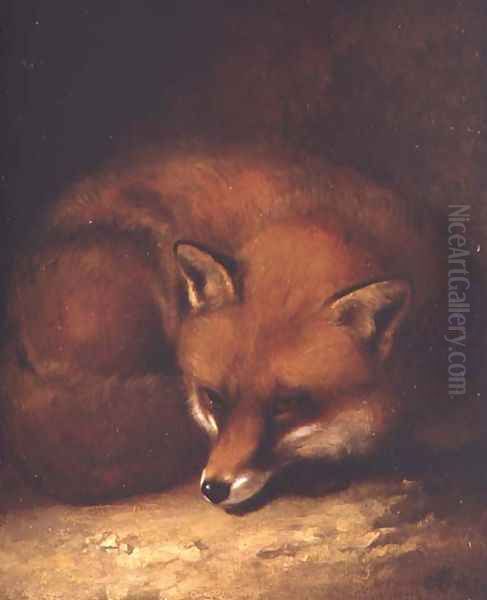 A Fox 1817 - view 1