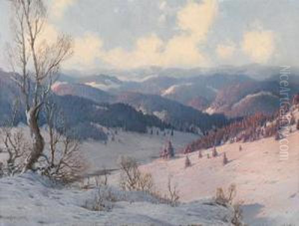 Paesaggio Invernale Nella Foresta Nera - view 1