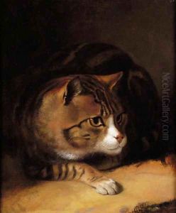 A Tabby Cat 1817 by Abraham Cooper
