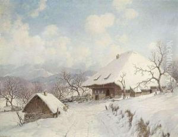 Winter In Theblack Forest - view 1