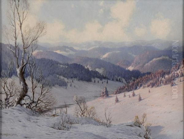 Weite Schwarzwaldlandschaft Im Winter. - view 1