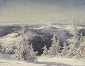 Winter Im Schwarzwald Winter Im Schwarzwald