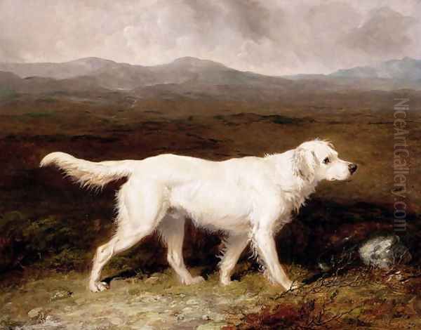 Charles Brett's White English Setter, Sam in a Moorland Landscape, 1836 - view 1