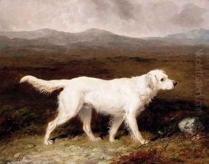 Charles Brett's White English Setter, Sam in a Moorland Landscape, 1836 by Abraham Cooper