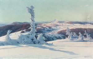 Winterlandschaft Mit Blick Auf Das Herzogenhorn. Winterlandschaft Mit Blick Auf Das Herzogenhorn.