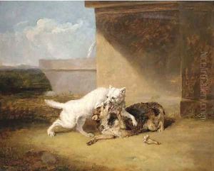 A dog-fight by Abraham Cooper