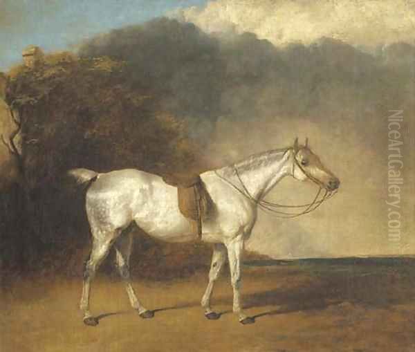 A saddled grey hunter in a landscape - view 1