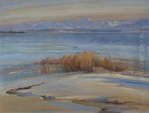 Winter Am Chiemsee. Winter Am Chiemsee.
