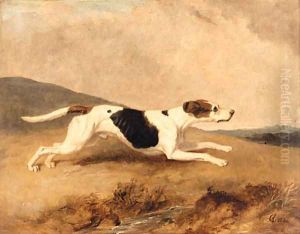 An Old Surrey and Burstow Foxhound by Abraham Cooper