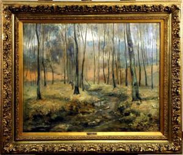 Sous-bois - view 1
