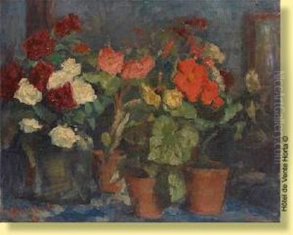 Begonias En Pot - view 1