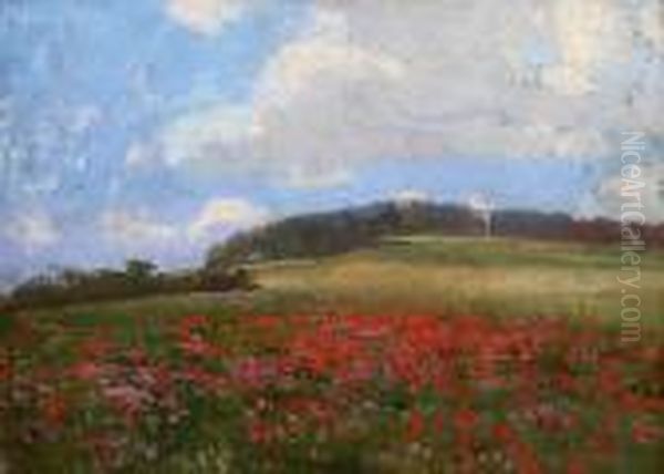 Meadow With Poppies - view 1