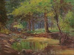A Forest Brook