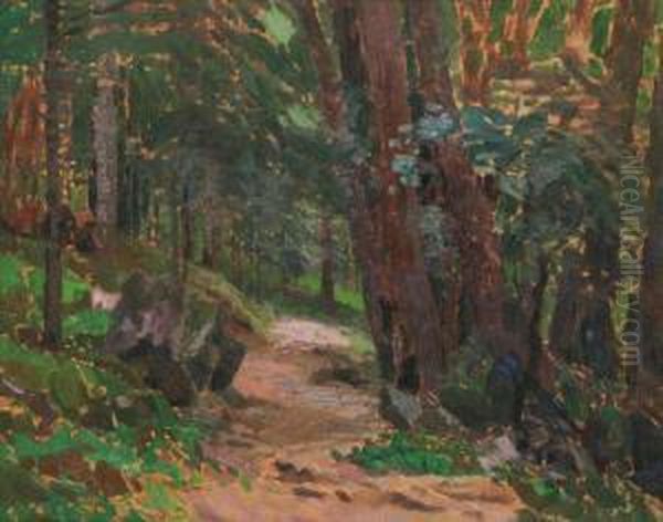 A Forest Path - view 1