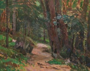 A Forest Path by Roman Havelka