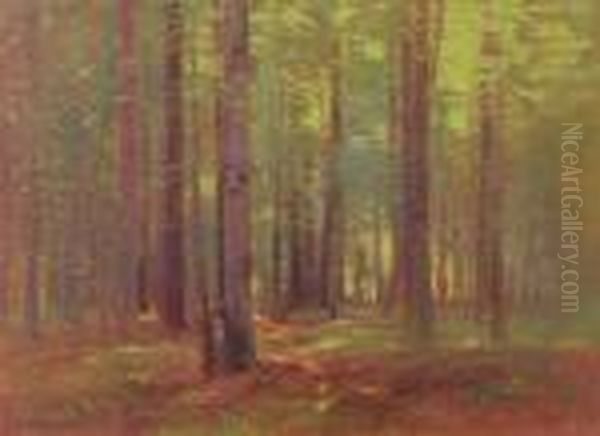 Lesni Interier - view 1