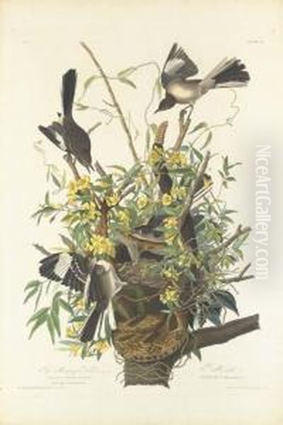 The Mocking Bird - view 1