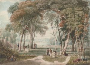 Chestnut Gathering Near Richmond Bridge