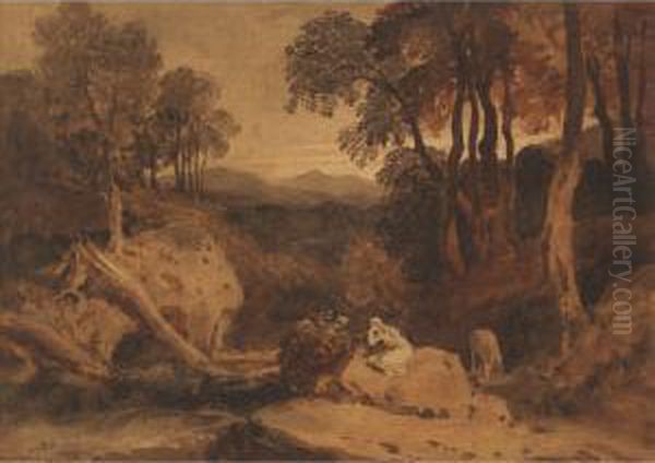 Forest Scene - view 1