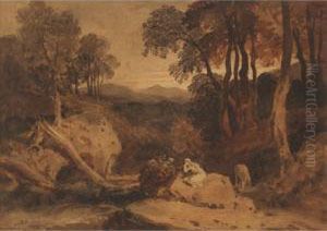 Forest Scene