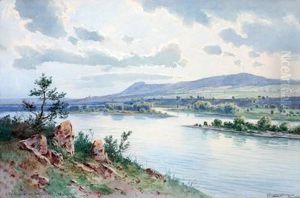 Die Donau Bei Schonbuhel