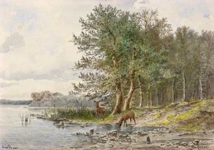 An Der Donau