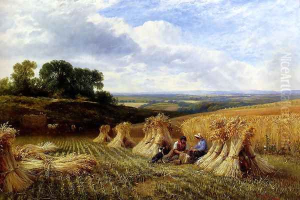 Harvest Field - view 1