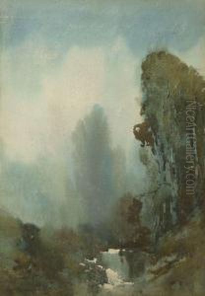 A Misty Morning - view 1
