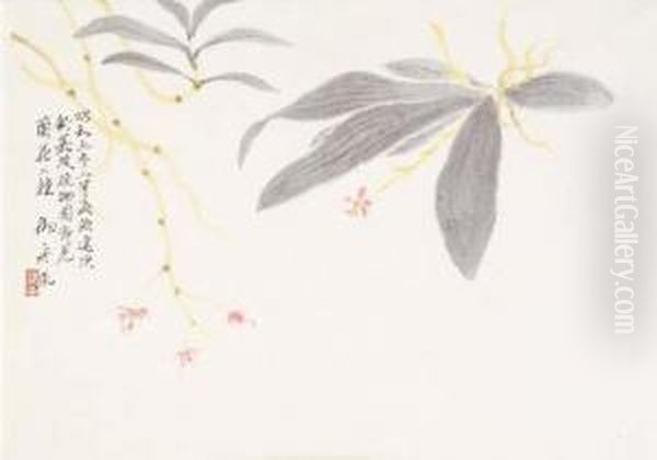 Ranka Nishu (two Orchids) - view 1