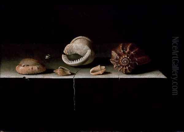 Six Shells on a Stone Shelf, 1696 - view 1
