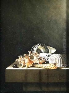 A still life of shells 1698 by Adriaen Coorte