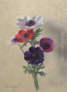Anemones by Jessica Hayllar