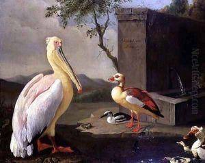 Oriental Birds by Adriaen Coorte