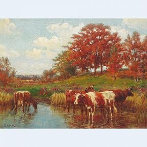 Cows Watering At A Stream - view 1