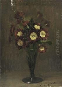 Auricula In A Glass