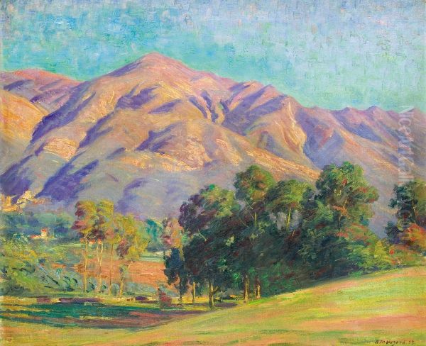 California Landscape - view 1