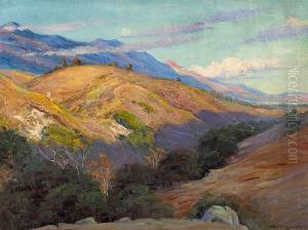 Evening Shadows, Montecito - view 1