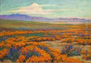 Flowers In Bloom, Mojave Desert, California