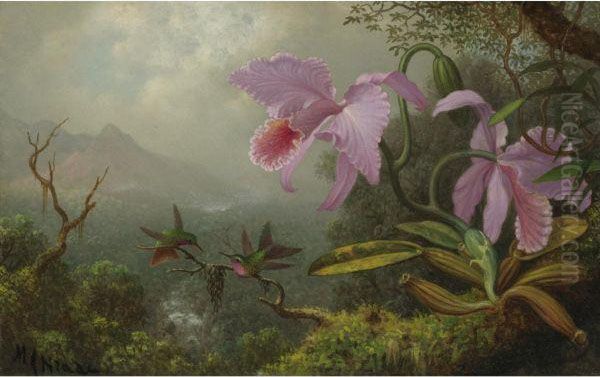Two Sun Angel Hummingbirds On A Branch Near Two Orchids - view 1